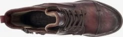 Mustang Enkellaarsjes Veterlaarsjes Dames Bordeaux 14 Mustang Enkellaarsjes Veterlaarsjes Dames Bordeaux -Mustang Verkoop 015d24fd2f91b8e69994aab0008c3bdd