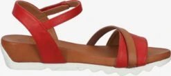 Mustang Sandalen Met Hak Sandaal Dames Rood 12 Mustang Sandalen Met Hak Sandaal Dames Rood -Mustang Verkoop a00cdf40ab8291a962de5552fd6bb43e